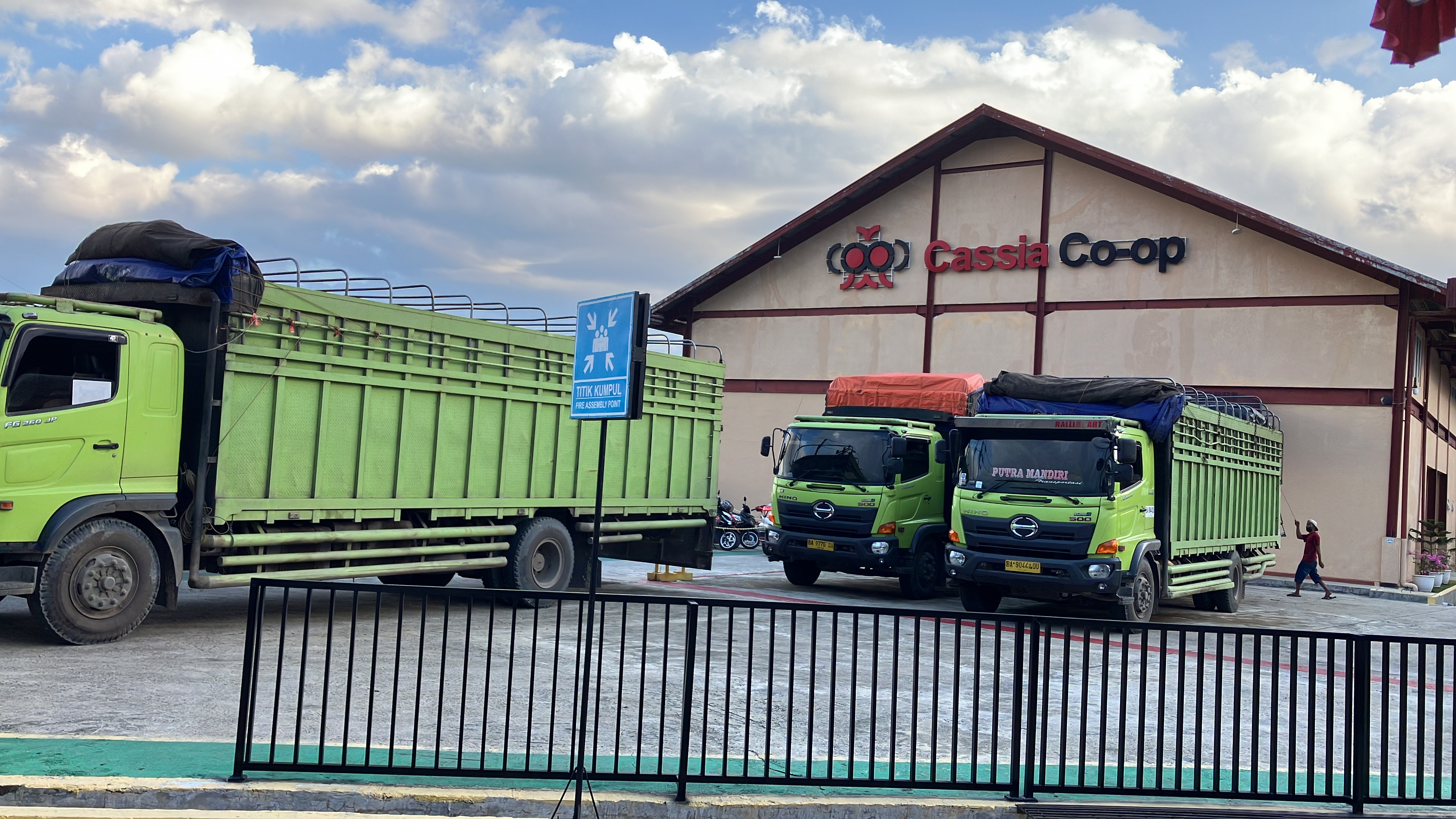 Cassia bulk dispatch from Kerinci facility — bagged for export to Europe and USA